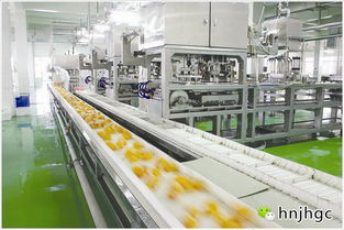 食品车间GMP工程设计的核心特点与专业设计服务价值